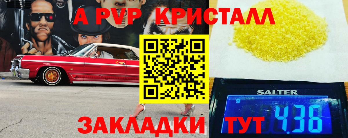 A-PVP СК КРИС Балаково