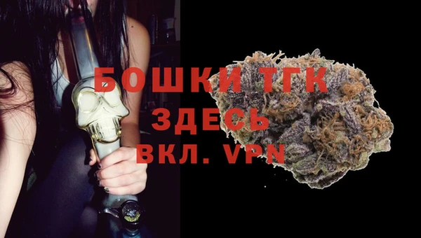 дурь Лабытнанги
