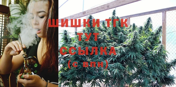 дурь Лабытнанги
