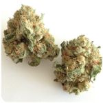Шишки "White Widow"  (Белая вдова)  Гидропоника -  Бошка VHQ в Балаково